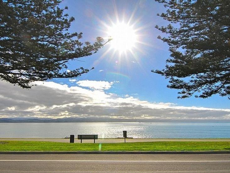 Beach House Studios Napier Exterior foto